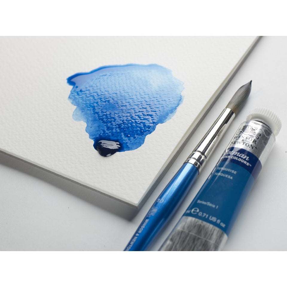Winsor Newton Round Synthetic Brush Cotman Series 111
