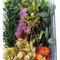 Dry flowers in 250gm plastic box